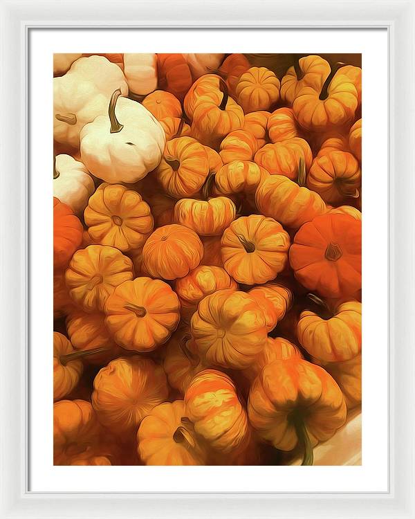 Pumpkins Tiny Gourds Pile - Framed Print