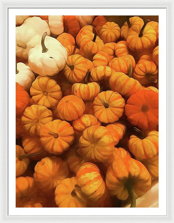 Pumpkins Tiny Gourds Pile - Framed Print