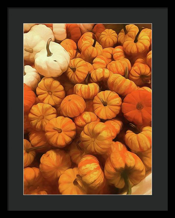 Pumpkins Tiny Gourds Pile - Framed Print