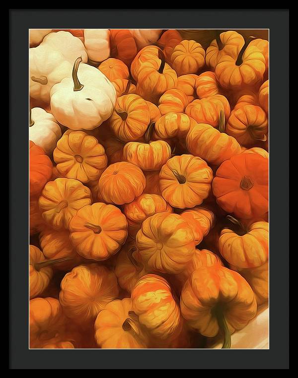 Pumpkins Tiny Gourds Pile - Framed Print