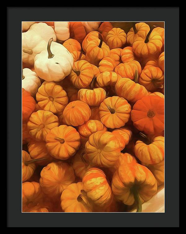 Pumpkins Tiny Gourds Pile - Framed Print