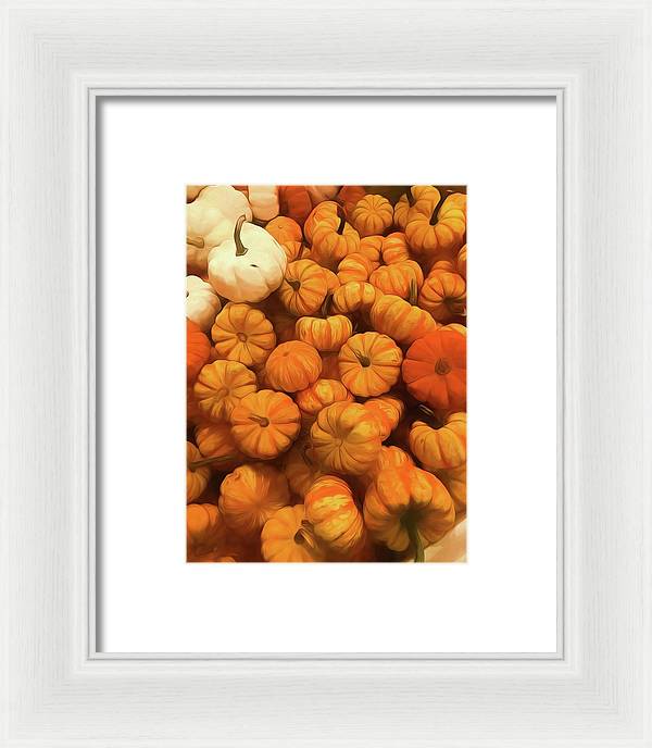 Pumpkins Tiny Gourds Pile - Framed Print
