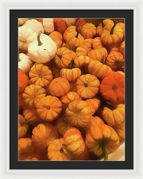 Pumpkins Tiny Gourds Pile - Framed Print