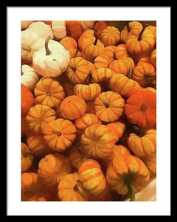 Pumpkins Tiny Gourds Pile - Framed Print
