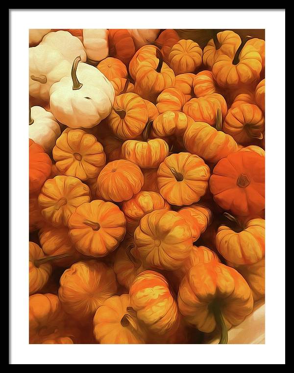 Pumpkins Tiny Gourds Pile - Framed Print