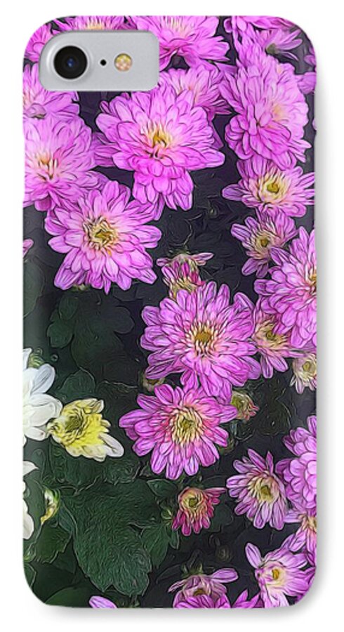 Purple Fall Mums - Phone Case