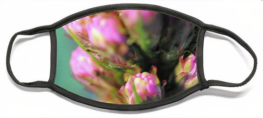 Purple Liatris - Face Mask