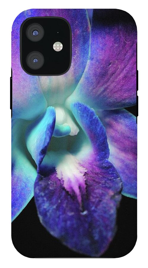 Purple Orchid Close up on Black - Phone Case