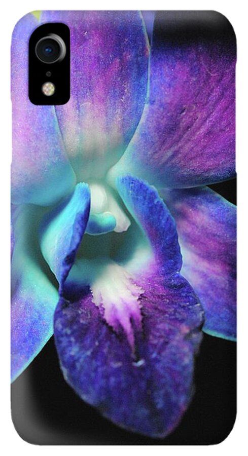 Purple Orchid Close up on Black - Phone Case