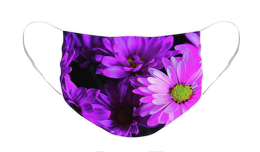 Purple Summer Daisies - Face Mask