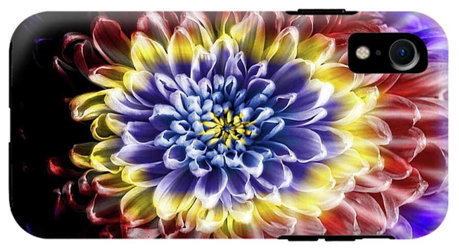 Rainbow Chrysanthemum - Phone Case