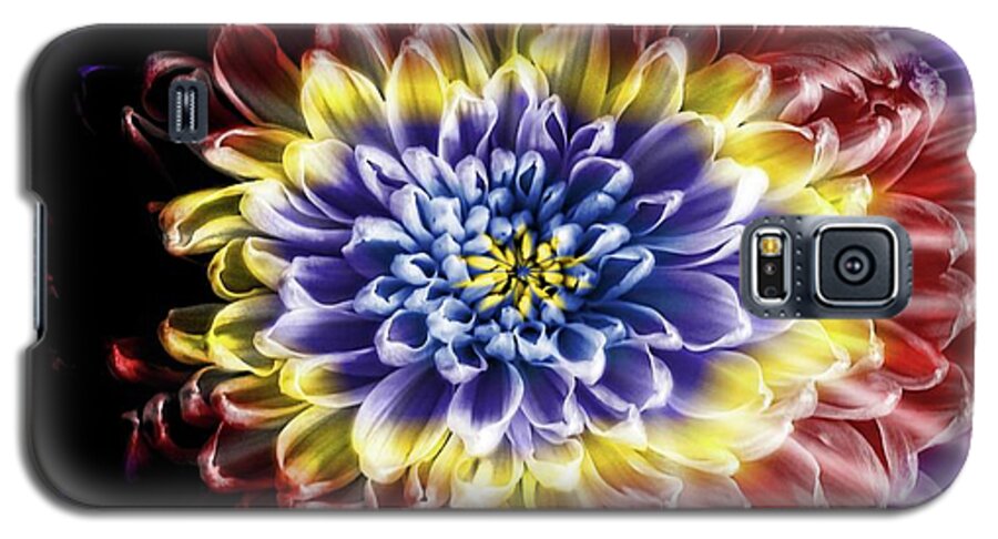 Rainbow Chrysanthemum - Phone Case