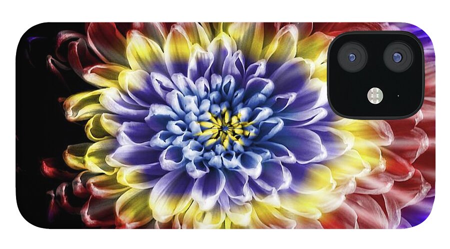 Rainbow Chrysanthemum - Phone Case
