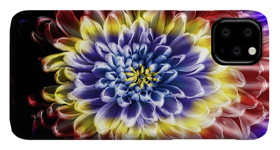 Rainbow Chrysanthemum - Phone Case