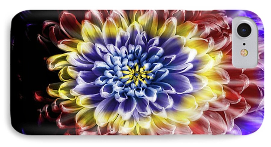 Rainbow Chrysanthemum - Phone Case