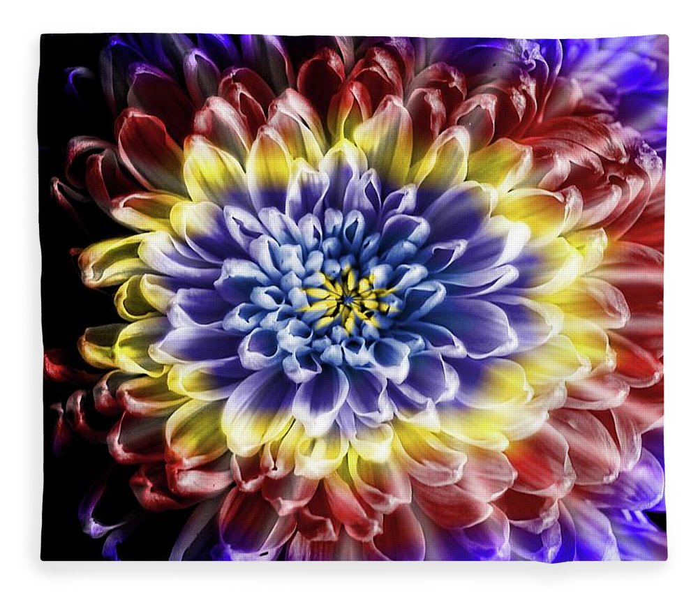 Rainbow Chrysanthemum - Blanket
