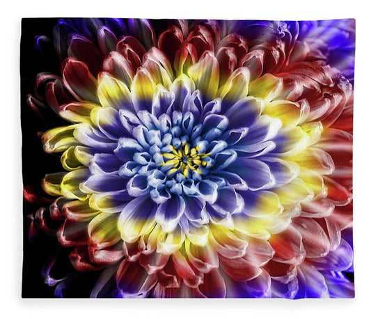 Rainbow Chrysanthemum - Blanket