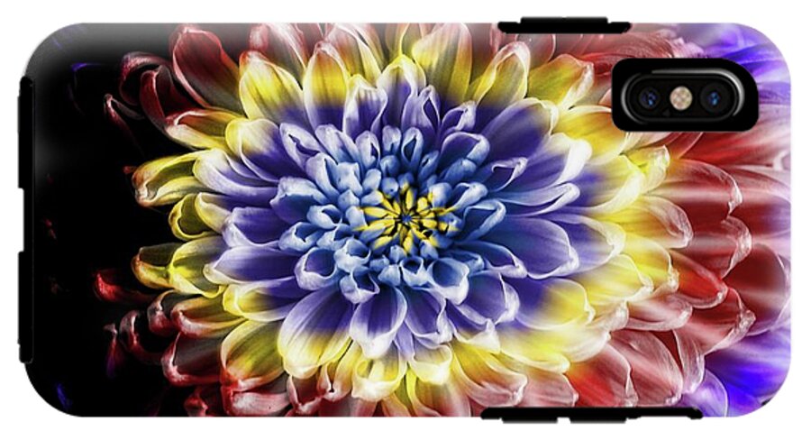 Rainbow Chrysanthemum - Phone Case