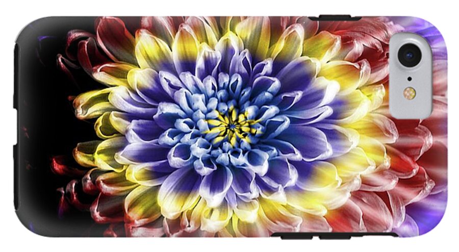 Rainbow Chrysanthemum - Phone Case