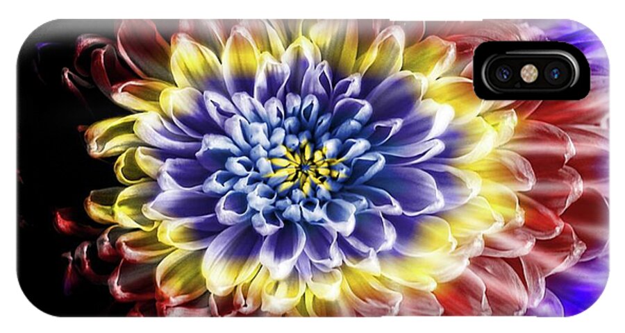Rainbow Chrysanthemum - Phone Case