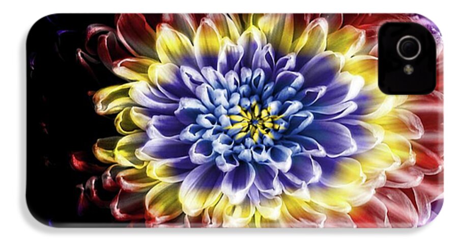 Rainbow Chrysanthemum - Phone Case
