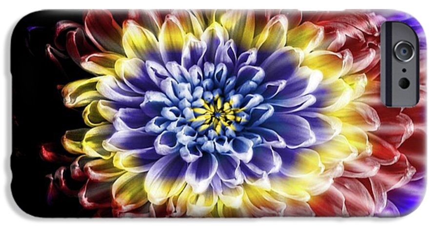 Rainbow Chrysanthemum - Phone Case
