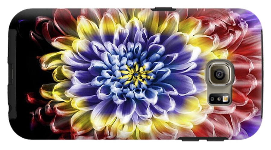 Rainbow Chrysanthemum - Phone Case