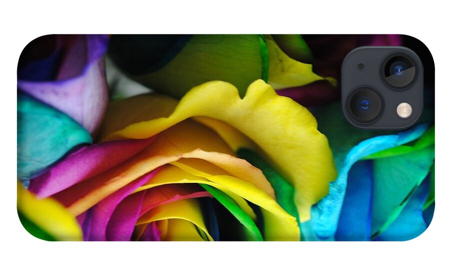 Rainbow Roses 19 - Phone Case
