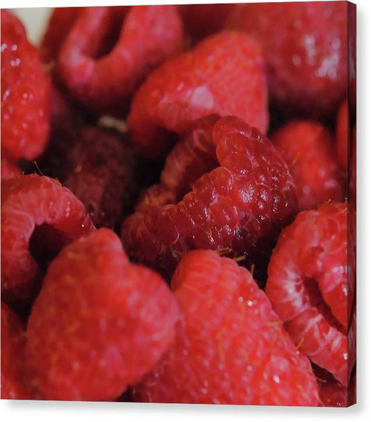Raspberries - Canvas Print