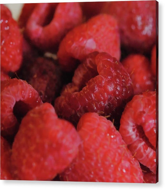 Raspberries - Acrylic Print
