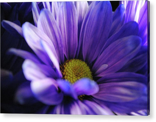 Raw Flowers 10 - Acrylic Print