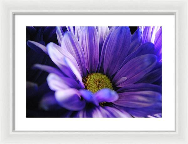 Raw Flowers 10 - Framed Print