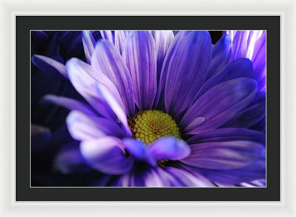 Raw Flowers 10 - Framed Print