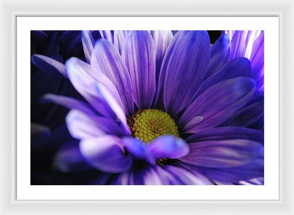 Raw Flowers 10 - Framed Print