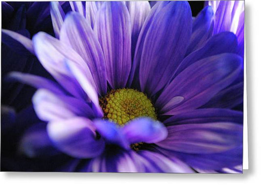 Raw Flowers 10 - Greeting Card