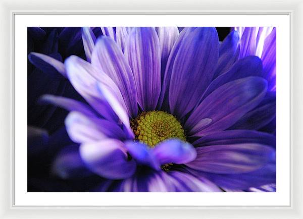 Raw Flowers 10 - Framed Print