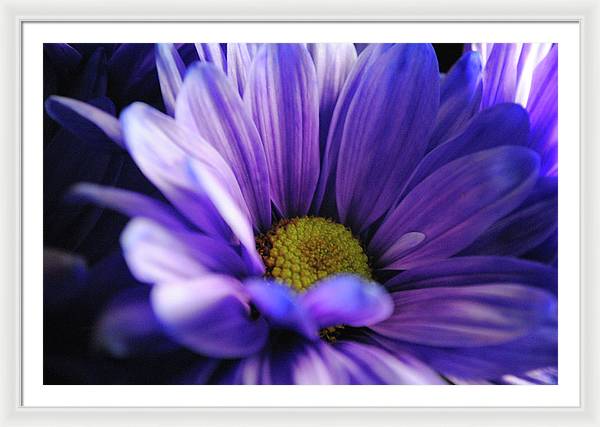 Raw Flowers 10 - Framed Print
