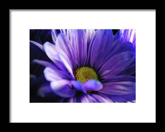 Raw Flowers 10 - Framed Print