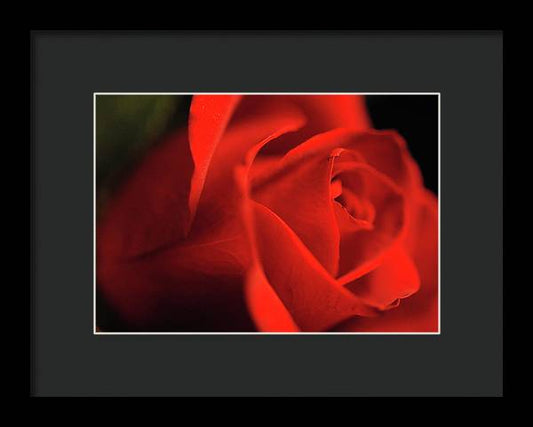 Raw Flowers 12 - Framed Print