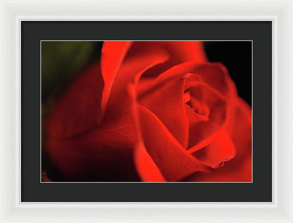 Raw Flowers 12 - Framed Print