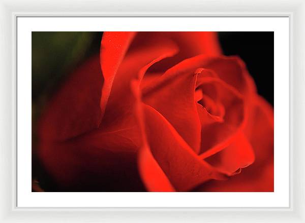 Raw Flowers 12 - Framed Print