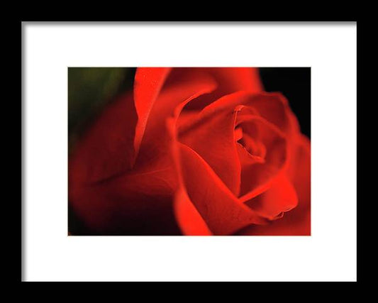 Raw Flowers 12 - Framed Print