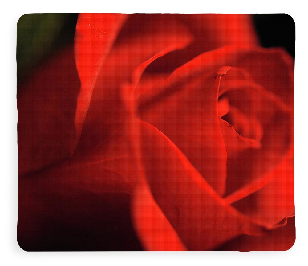 Raw Flowers 12 - Blanket