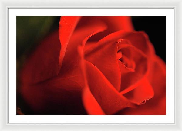 Raw Flowers 12 - Framed Print