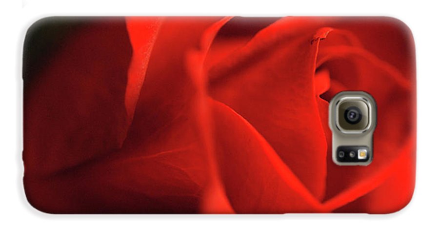 Raw Flowers 12 - Phone Case