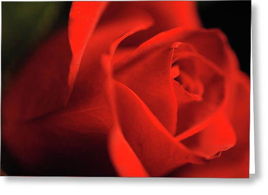 Raw Flowers 12 - Greeting Card