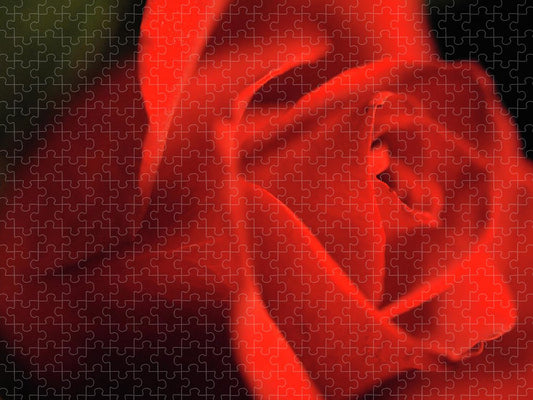 Raw Flowers 12 - Puzzle