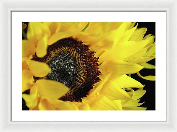 Raw Flowers 13 - Framed Print