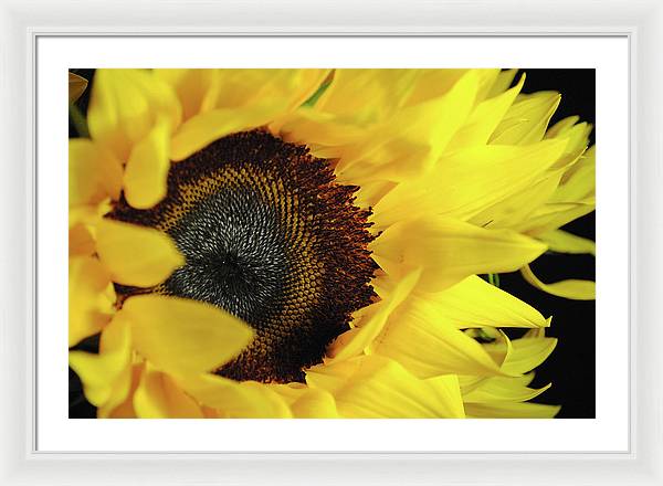 Raw Flowers 13 - Framed Print