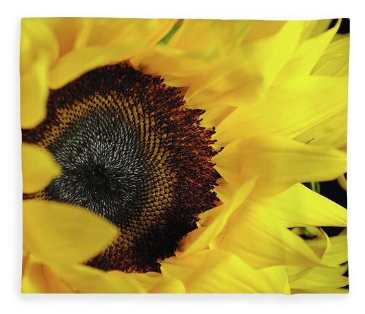 Raw Flowers 13 - Blanket